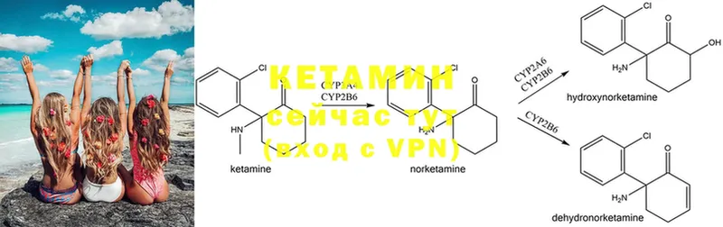 дарнет шоп  shop состав  КЕТАМИН ketamine  Николаевск 