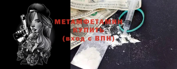 сатива Новодвинск