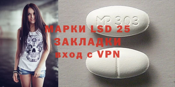 индика Новозыбков
