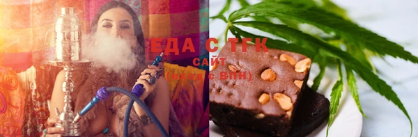 индика Новозыбков