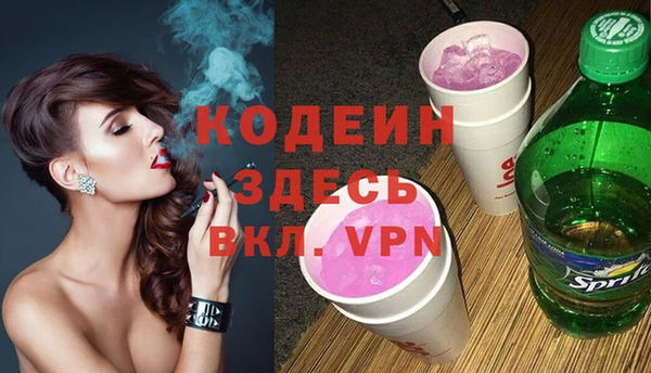 индика Новозыбков