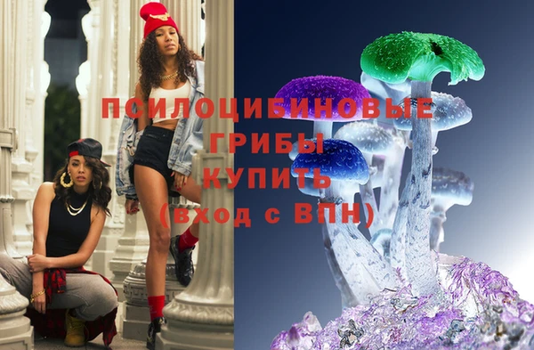 мяу мяу мука Новокубанск