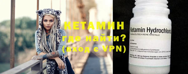 индика Новозыбков