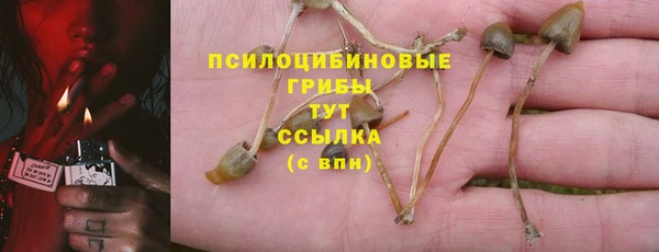 индика Видное