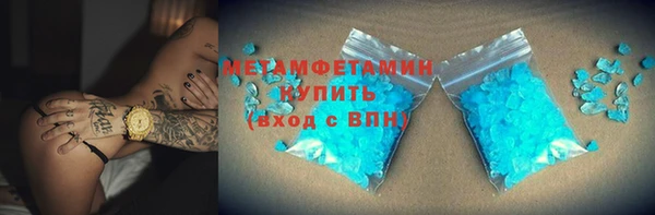 индика Новозыбков