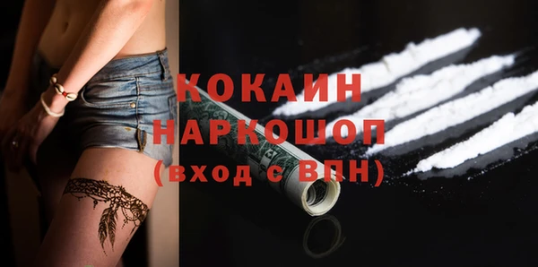 твердый Осинники