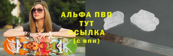 сатива Новодвинск