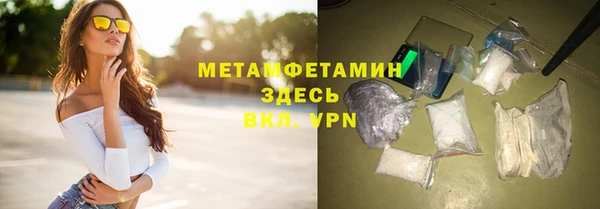 индика Новозыбков