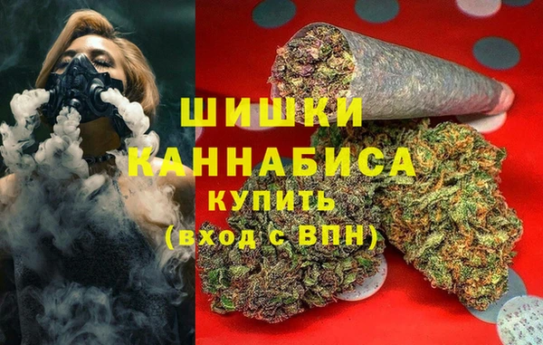 сатива Новодвинск