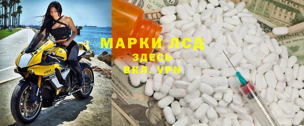 сатива Новодвинск