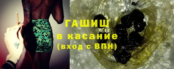 индика Новозыбков