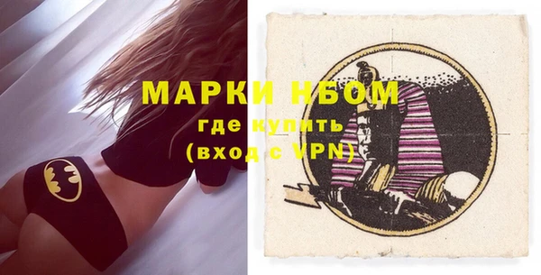 индика Новозыбков