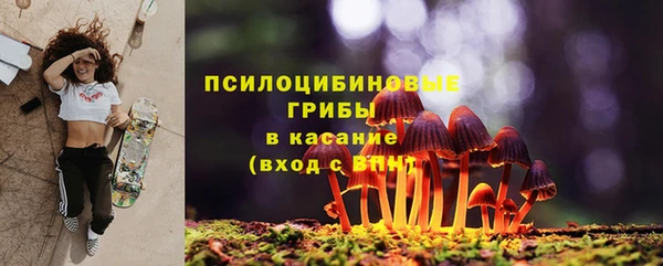 индика Видное