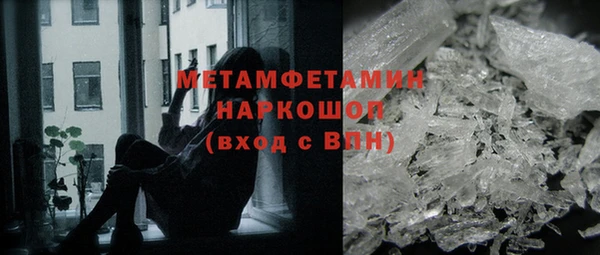 сатива Новодвинск