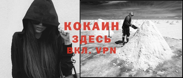 сатива Новодвинск