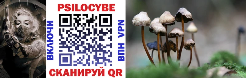 площадка Telegram  Николаевск  Галлюциногенные грибы Psilocybine cubensis  наркота 