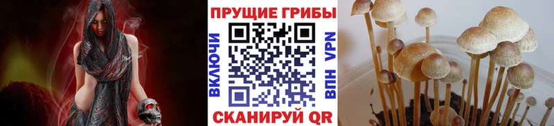 Псилоцибиновые грибы мухоморы Николаевск